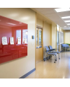 Rote korallenfarbene magnetische Glastafel SMATAB®