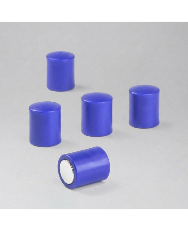 Blaue Büromagnete OF-2 Set 10 Stk