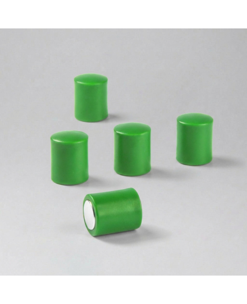 Grüner Büromagnet OF-2 Set 10 Stk